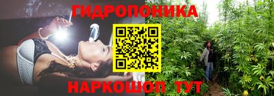 скорость Шебекино