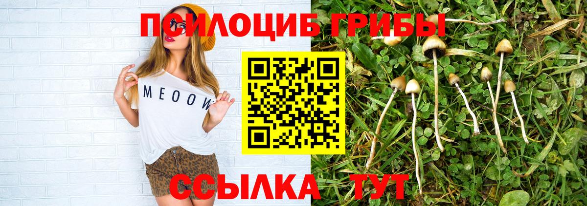 Галлюциногенные грибы мицелий Уварово